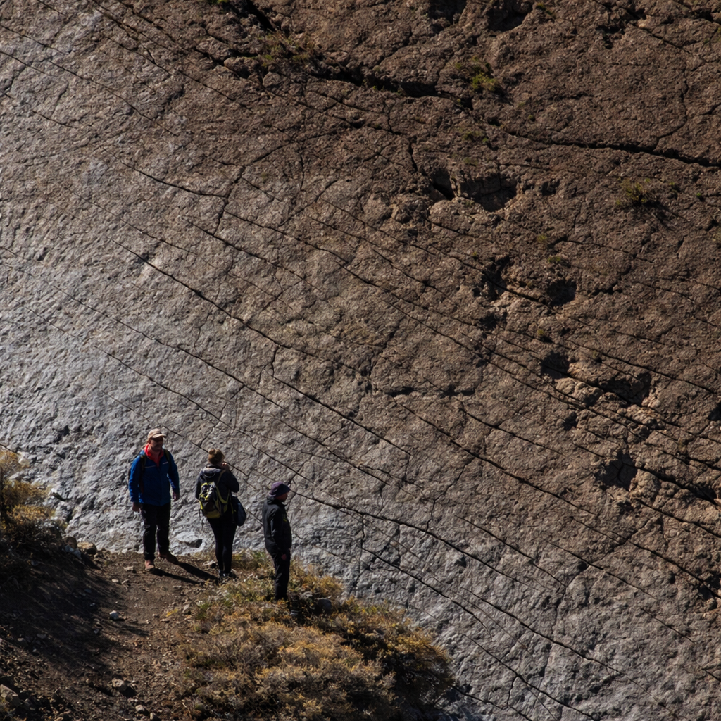 Huellas de Dinosaurios